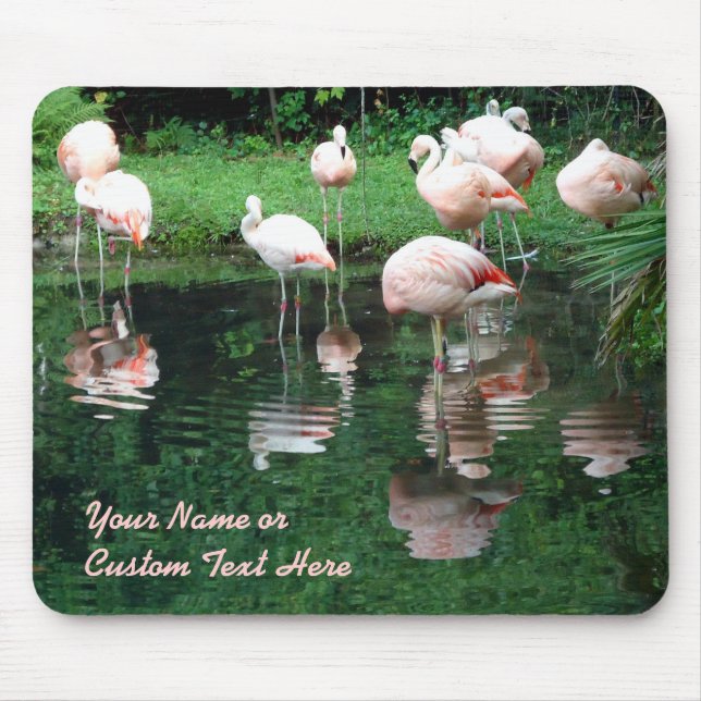 Flamingo Flamboyant Mousepad (Vorne)
