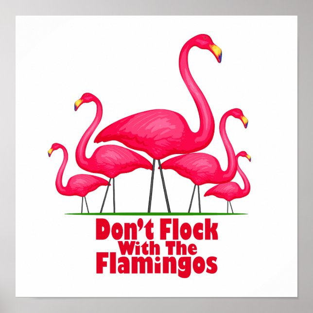 Flamingo Flamingo Poster (Vorne)