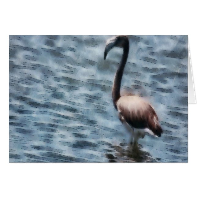 Flamingo Fledgling Watercolor (Vorderseite (Horizontal))