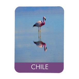 Flamingo Flexible Magnet