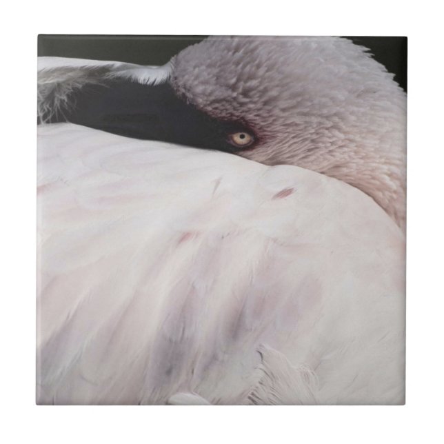 Flamingo Fliese (Vorderseite)