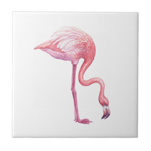 Flamingo Fliese