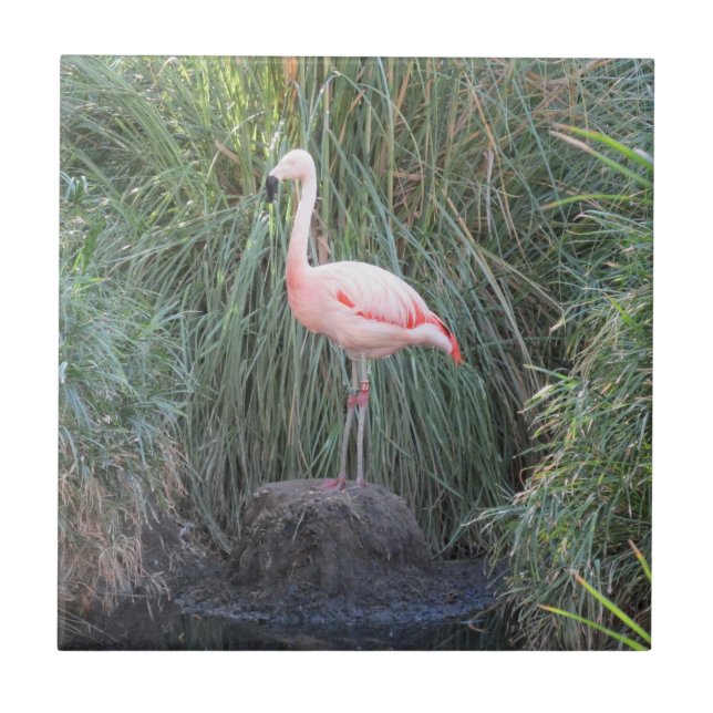 Flamingo Fliese (Vorderseite)