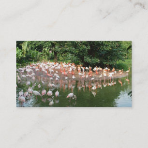 flamingo flock nature business card visitenkarte