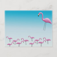Flamingo Flocking