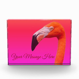 Flamingo  fotoblock