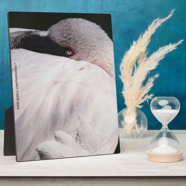 Flamingo Fotoplatte (Seite)
