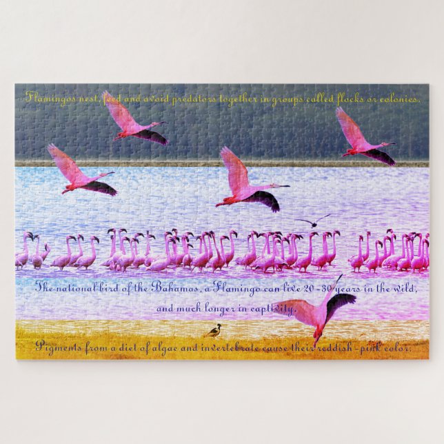 Flamingo Fun 20"x30" - 1,014 Stück Puzzle (Horizontal)