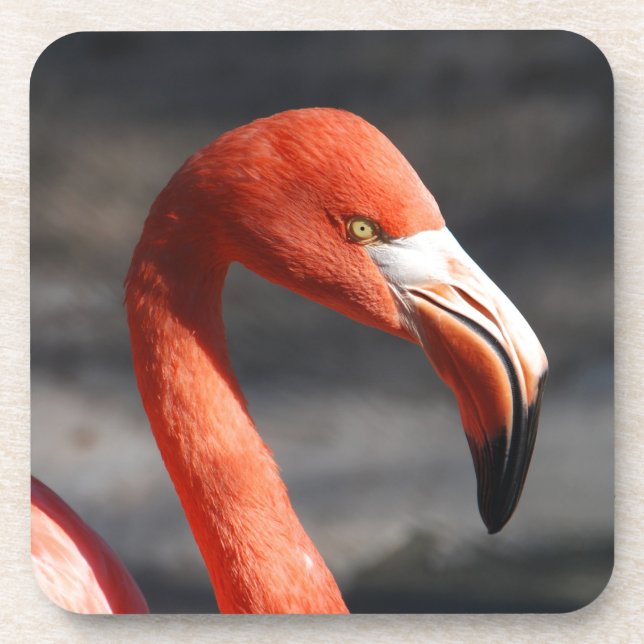 Flamingo Getränkeuntersetzer (Vorderseite)