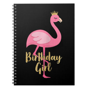 Flamingo Girl Geburtstag Kostüme Geschenke Notizblock