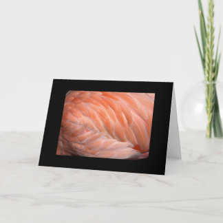 Flamingo herauf nahen Gruß Karte