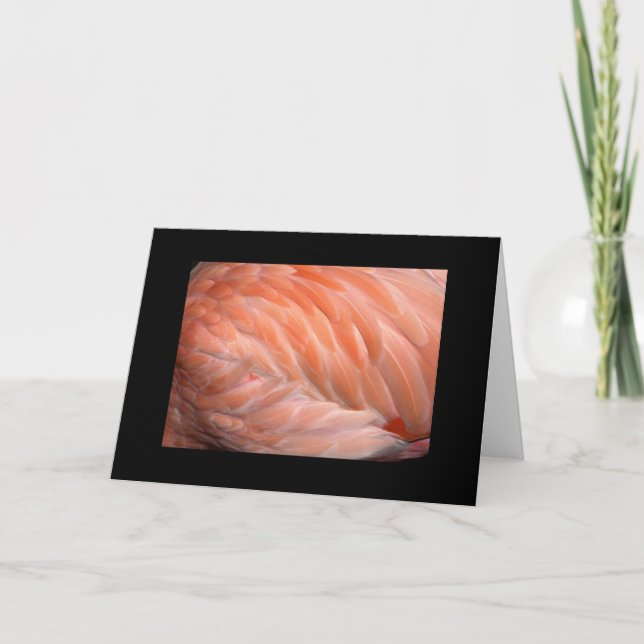 Flamingo herauf nahen Gruß Karte (Vorderseite)