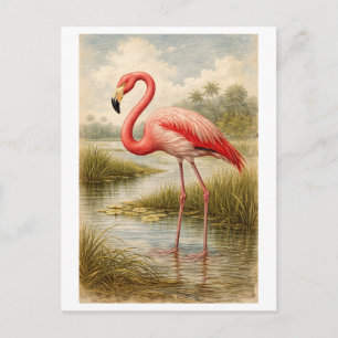 Flamingo-Illustration im Vintage-Stil Postkarte