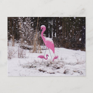 Flamingo im Schnee Postkarte