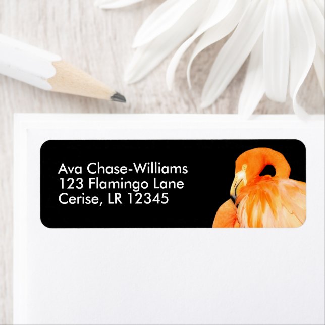 Flamingo in der Sommersonne (Insitu)