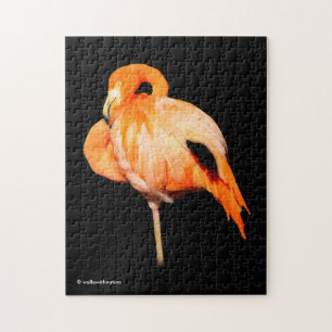 Flamingo in der Sommersonne Puzzle