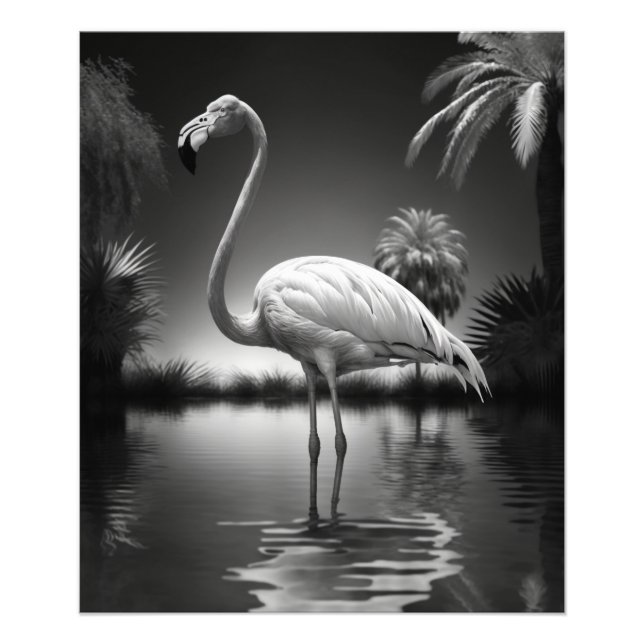 Flamingo in einem Pool Fotodruck (Vorne)