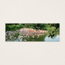 Flamingo in Wasser, Mini-Lesezeichen