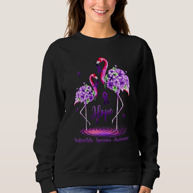 Flamingo Infantile Spasms Bewusstsein Sweatshirt (Vorderseite)