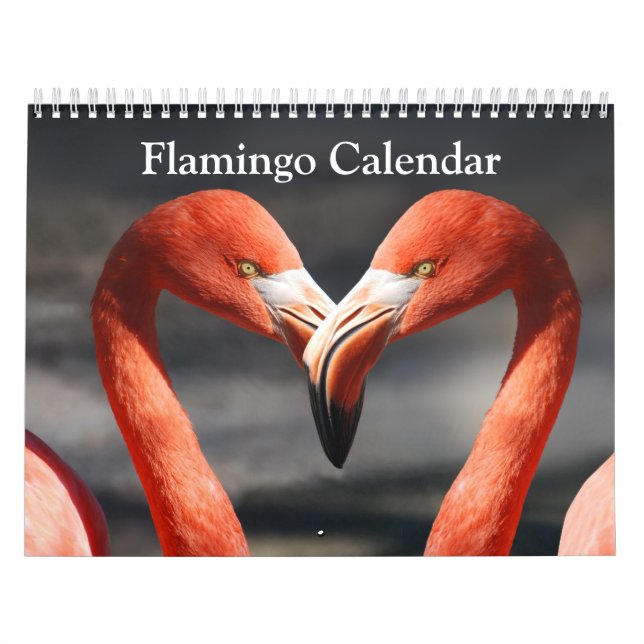 Flamingo-Kalender 2017 Kalender (Titelbild)