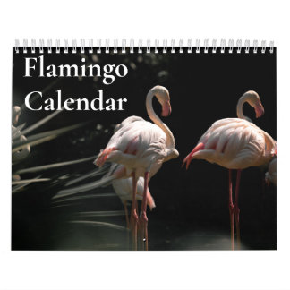 Flamingo-Kalender 2025 Kalender