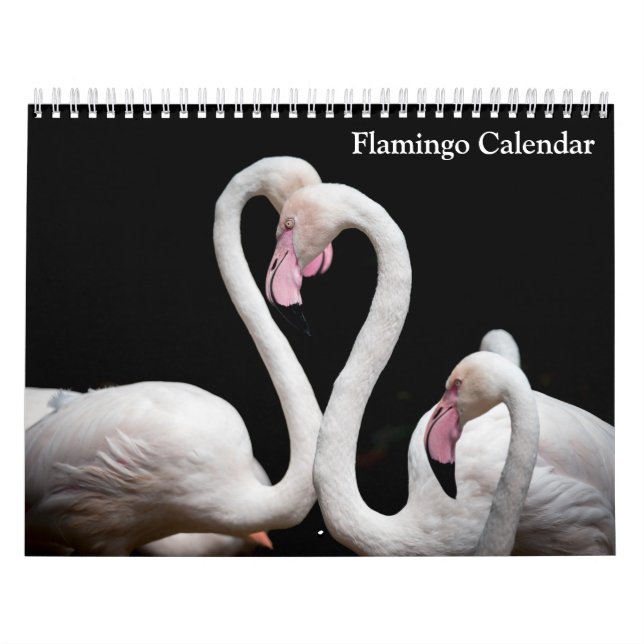 Flamingo-Kalender 2025 Kalender (Titelbild)
