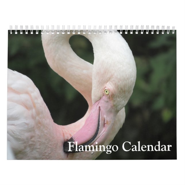 Flamingo-Kalender 2025 Kalender (Titelbild)