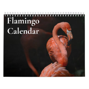 Flamingo-Kalender 2025 Kalender