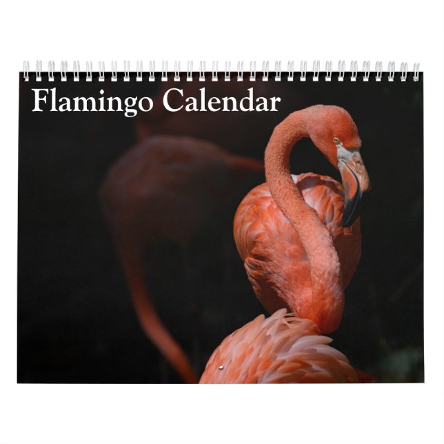 Flamingo-Kalender 2025 Kalender (Titelbild)