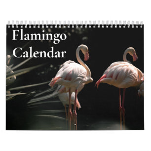 Flamingo-Kalender 2027 Kalender