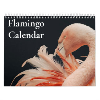 Flamingo-Kalender 2027 Kalender