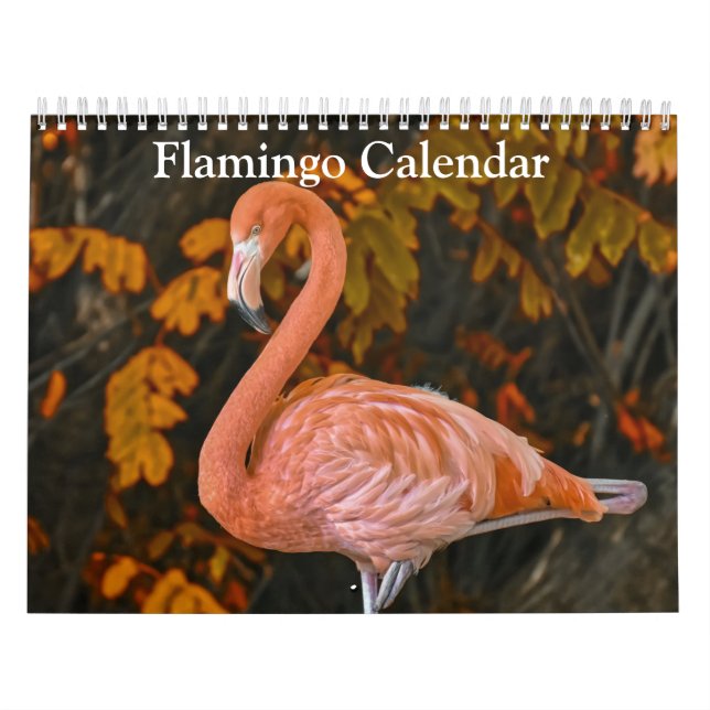 Flamingo-Kalender 2027 Kalender (Titelbild)