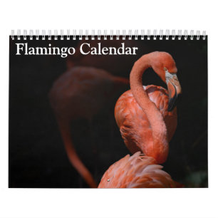Flamingo-Kalender 2027 Kalender
