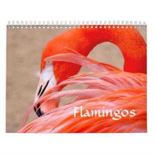Flamingo-Kalender Kalender