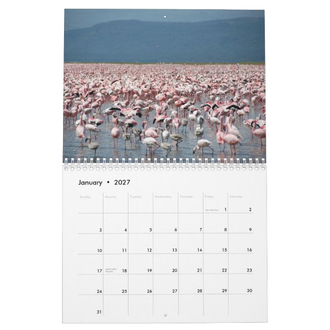 Flamingo-Kalender Kalender (Jan 2027)