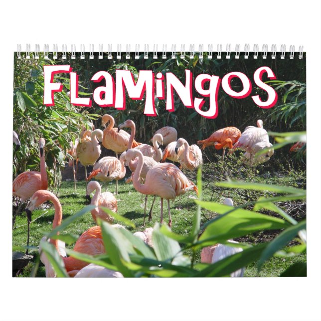 Flamingo-Kalender Kalender (Titelbild)