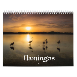 Flamingo-Kalender Kalender