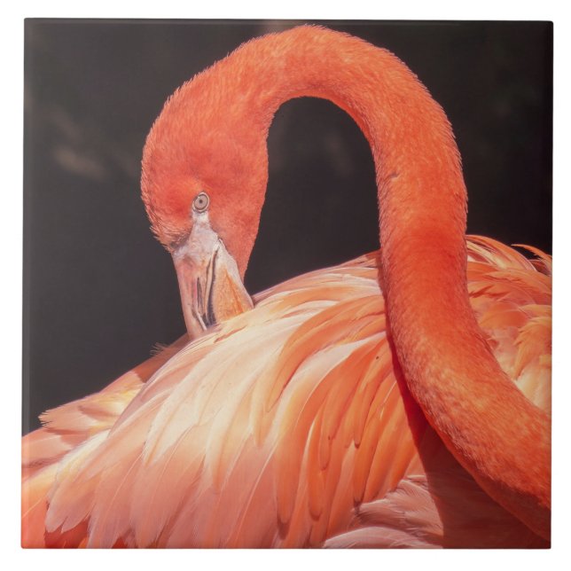Flamingo Keramik Tile Fliese (Vorderseite)
