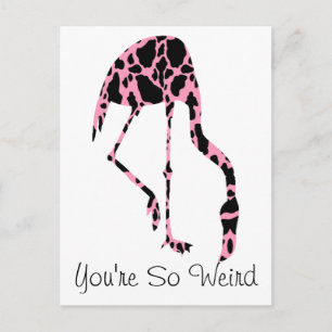 Flamingo Kuh Flecken Du Bist So Seltsam Postkarte