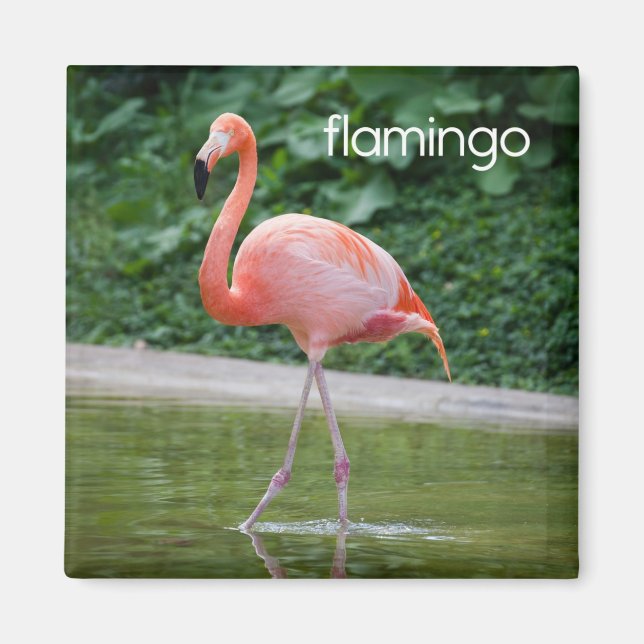Flamingo Kühlschrank Magnet (Vorne)