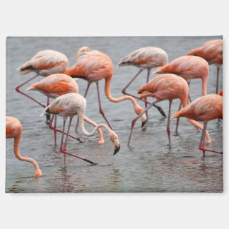 Flamingo-Kühlschrankmagnet Magnet