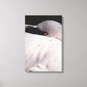 Flamingo Leinwanddruck