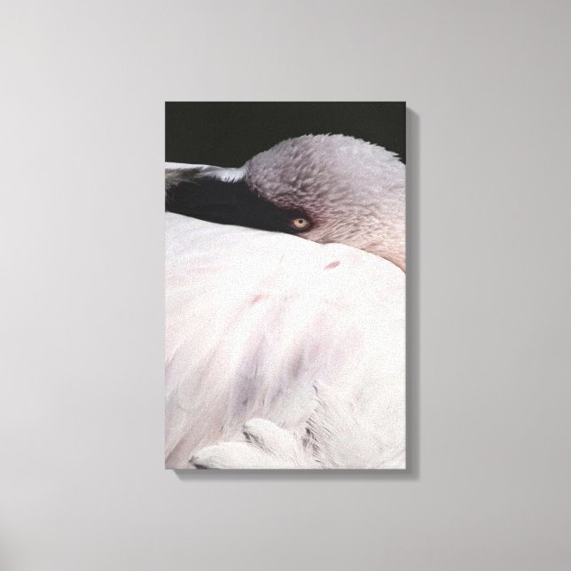Flamingo Leinwanddruck (Vorderseite)