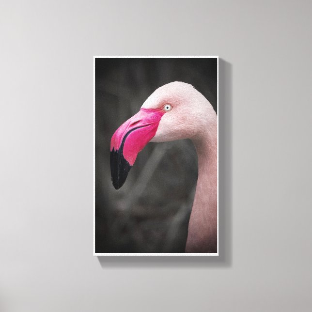 Flamingo Leinwanddruck (Vorderseite)