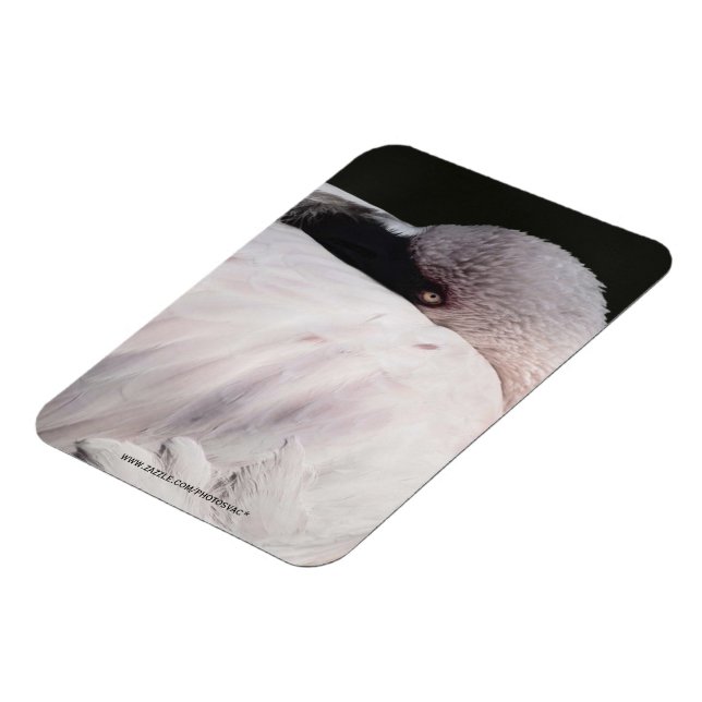 Flamingo Magnet (Linke Seite)