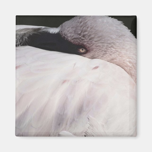 Flamingo Magnet (Vorne)