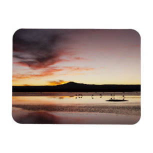 Flamingo Magnet