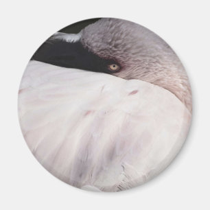 Flamingo Magnet