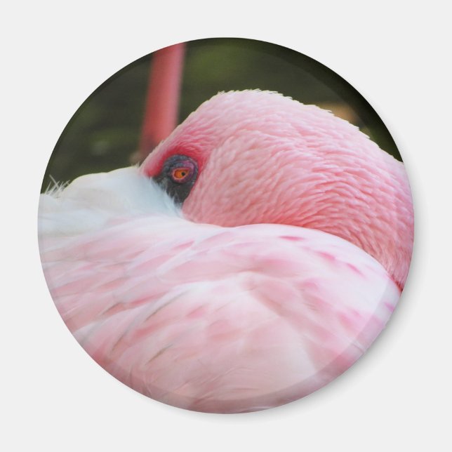 Flamingo Magnet (Vorne)