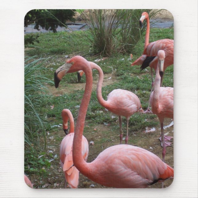 Flamingo Mousepad (Vorne)